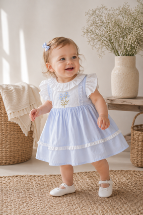 Blue Frances Dress