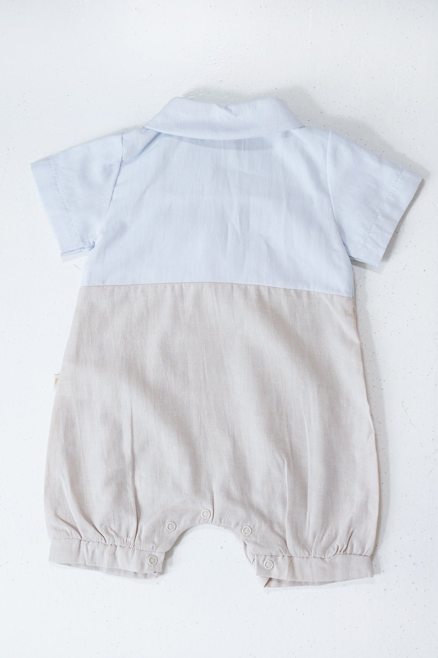 Blue and Beige Olly Grower